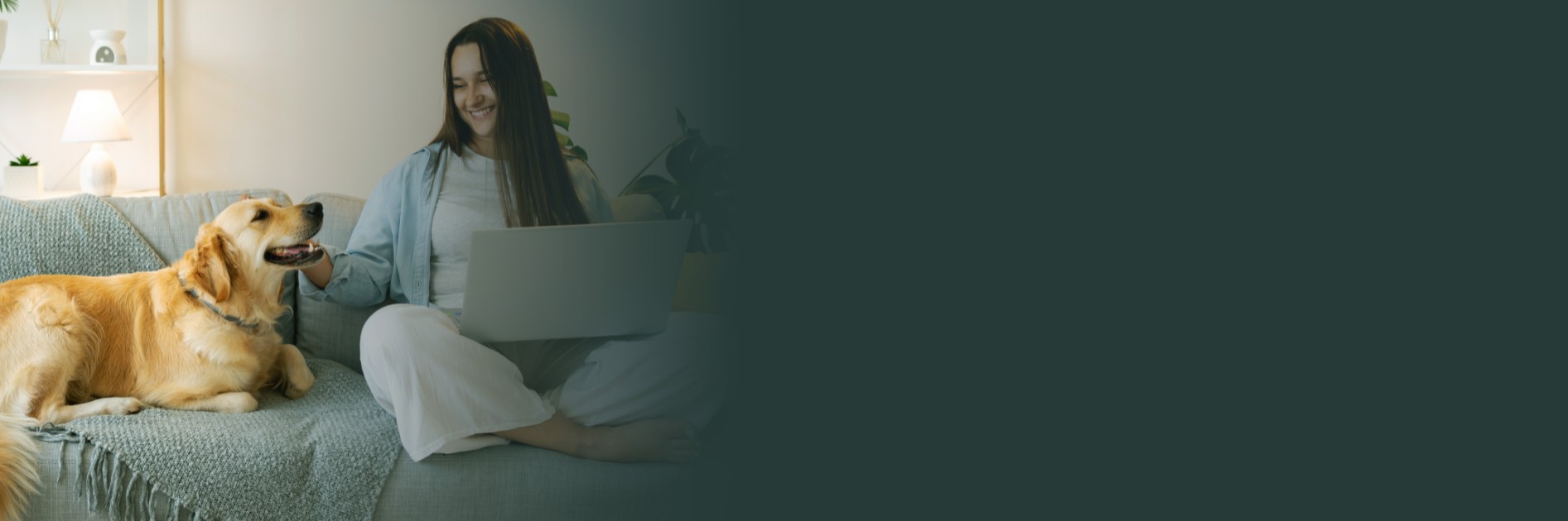 banner, exclusive pet concierge service all around the netherlands