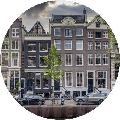 dog sitting comfortably