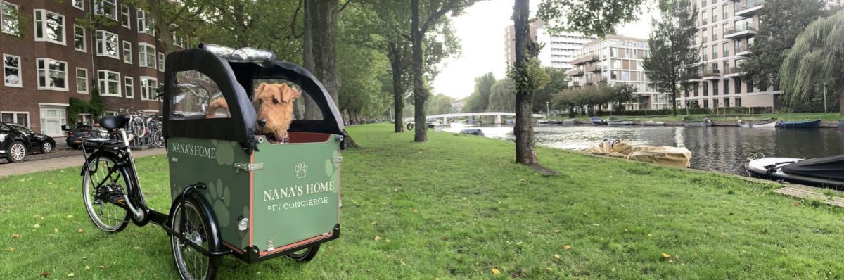banner, exclusive pet concierge service all around the netherlands